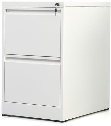 Amazon.co.jp: 【メーカー配送・設置・組立】プラス ファイリング